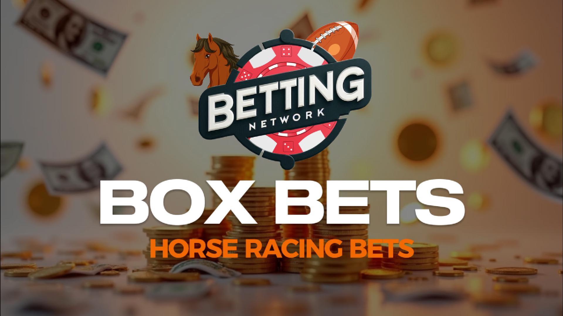 Box Bet Horse Racing